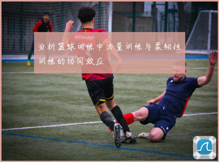 分析篮球训练中力量训练与柔韧性训练的协同效应