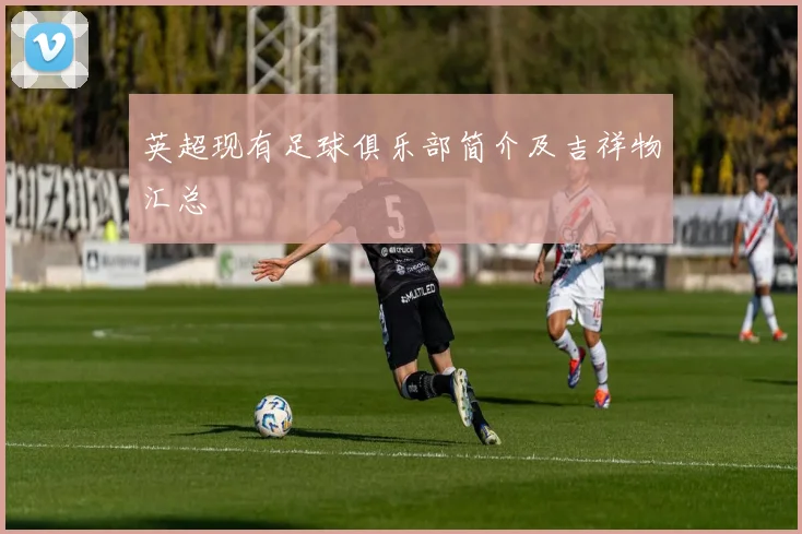 英超现有足球俱乐部简介及吉祥物汇总