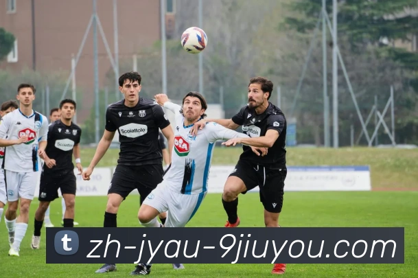 J9九游会登录入口APP 封面图